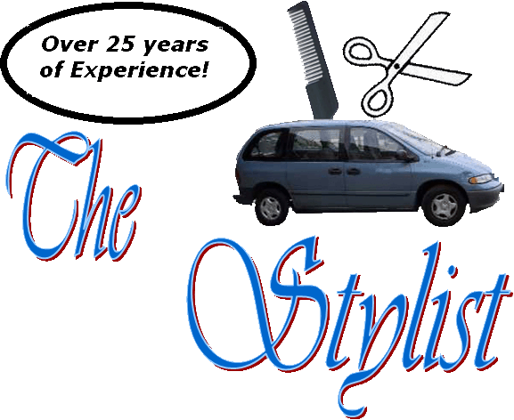 The Stylist - Offering London Ontario seniors in home hair care
